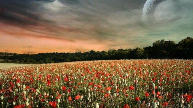 为什么 IPv6 在国内至今未得以大规模应用?